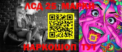 гидра Будённовск