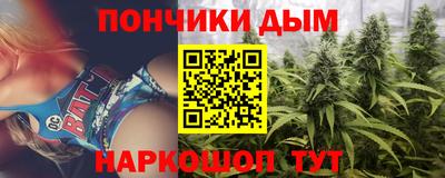 гидра Будённовск