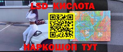 гидра Будённовск